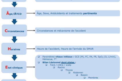 Nouveau référentiel Traum’Ara